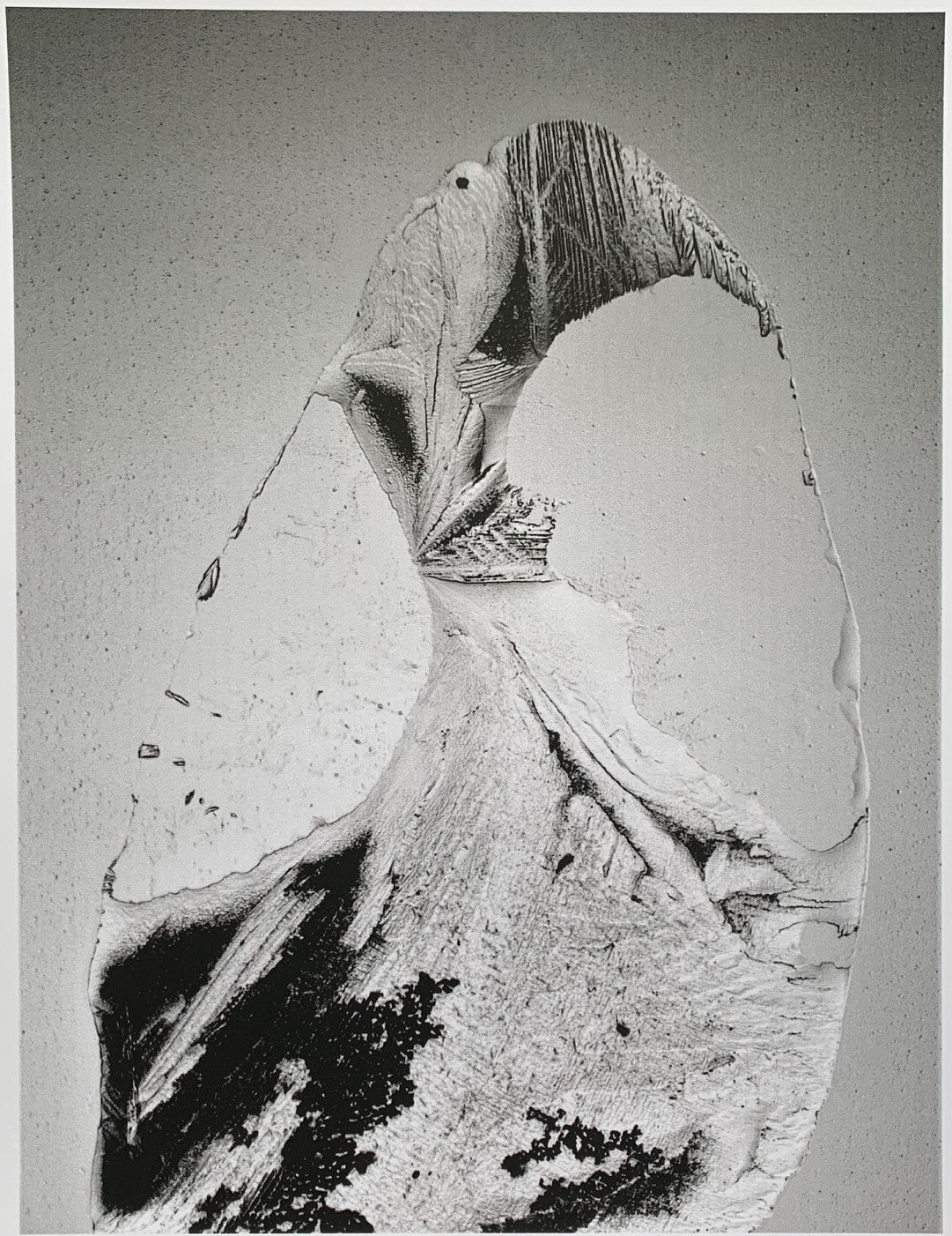 Zeus (2): Helen’s Father