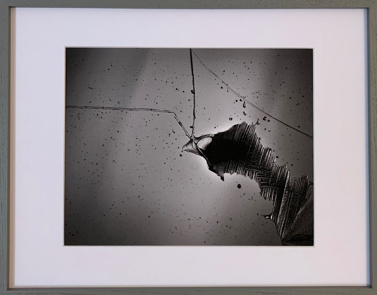 WW3 (4): Survivor (12)-Cricket