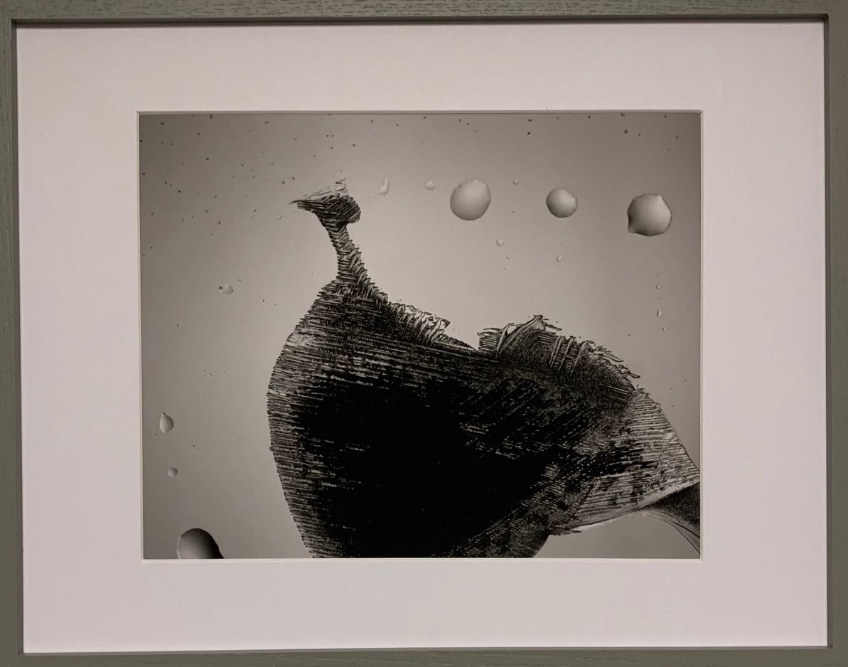 WW3 (4): Survivor (9)-Peacock