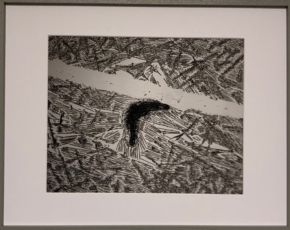 WW3 (4): Survivor (10)-Platypus