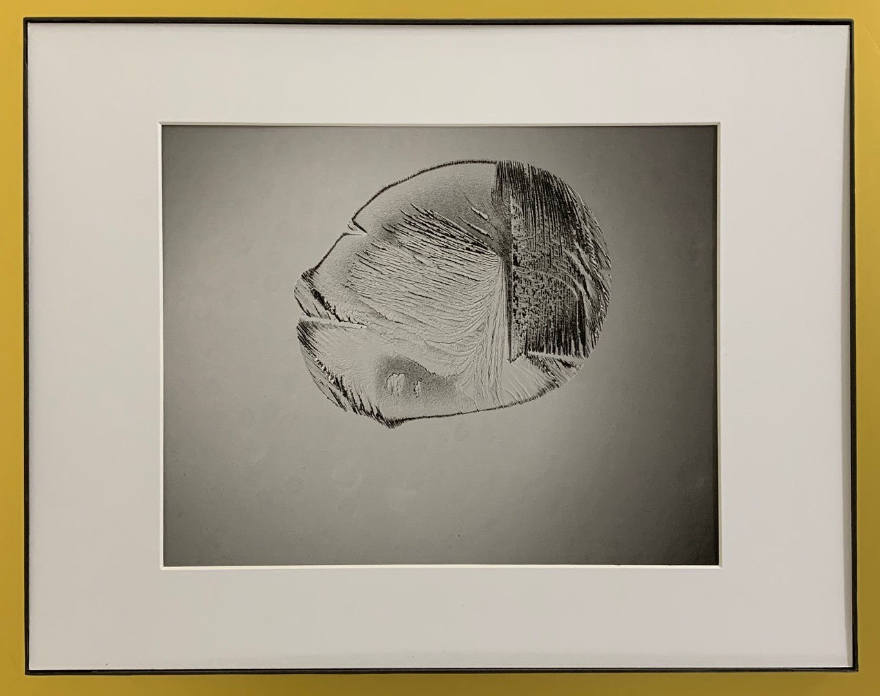 Dr. King: “I have a dream"