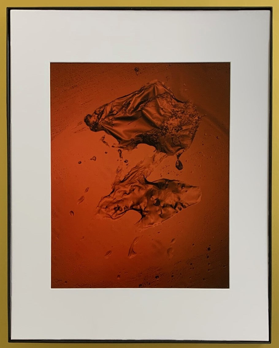 Zeus with His Spouse or Mate