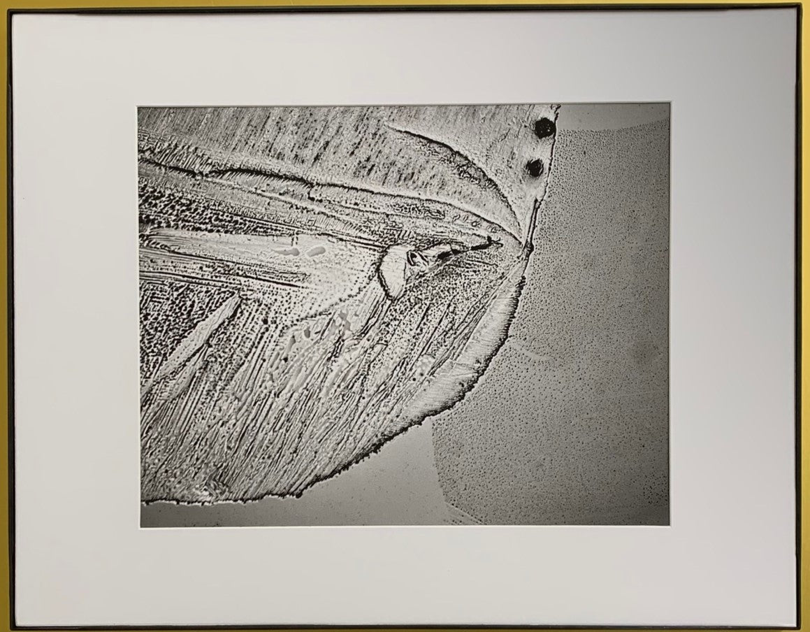 Face on Mars (5) Dog: Thank You, NASA, SpaceX & ... !