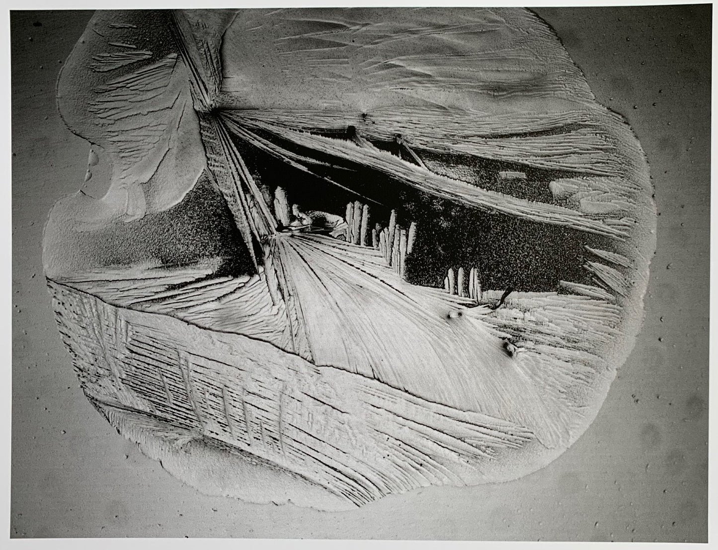 A Space-Habitat on Asteroid (1)