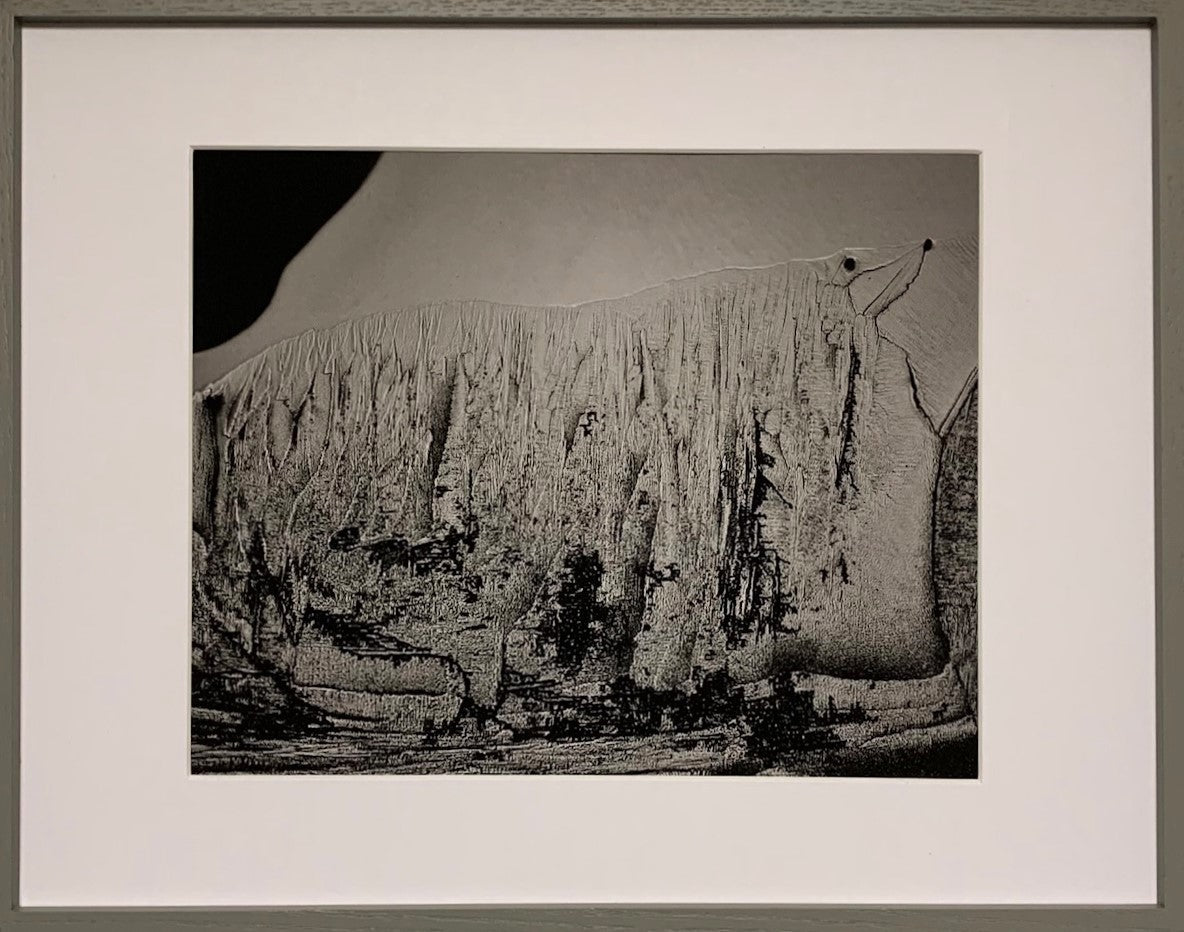 What is Bear Fruit ?