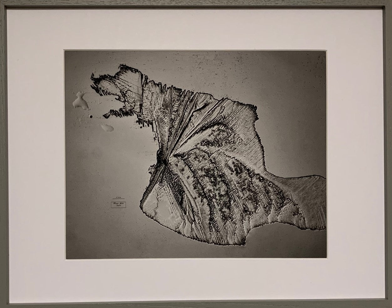 Togo (hero dog): 1925 serum run to Nome